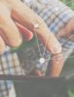 Dicas para o produtor explorar novos nichos do mercado agrícola
