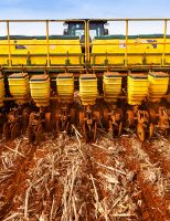 Os motivos da queda na produção de soja no sul do país e as novas recomendações de manejo tecnológico
