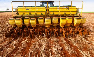Alerta para a melhor forma de combate às pragas no inicio da plantação para a próxima safra