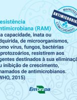 Recomendações para evitar o abuso no uso de antibióticos