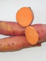 O agricultor pode melhorar a renda da propriedade plantando batata-doce