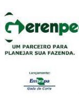 Um bom registro do manejo do rebanho ajuda a reduzir despesas com os animais
