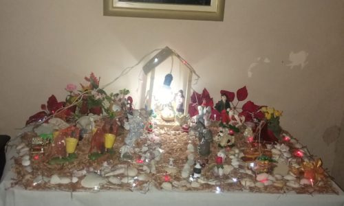 <h2><a href="https://nordesterural.com.br/luzes-do-natal-a-tradicao-do-presepio/">Luzes do Natal &ndash; A tradi&ccedil;&atilde;o do pres&eacute;pio</a></h2>Esse pres&eacute;pio &eacute; uma tradi&ccedil;&atilde;o de fam&iacute;lia e est&aacute; montado na casa de D. Glaucia, em Bom Conselho, interior de Pernambuco. A Lapinha, como &eacute; chamada, tinha centenas de figuras