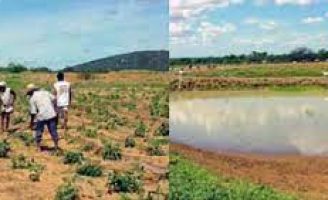 Barreiro podem ajudar a guardar água para pequenas irrigações na seca