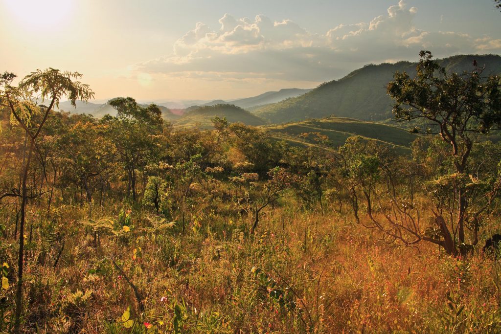 Hoje é o dia Nacional das Reservas Particulares do Patrimônio Natural