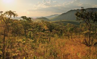 Hoje é o dia Nacional das Reservas Particulares do Patrimônio Natural