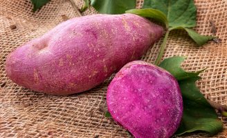A nova cultivar de batata-doce de polpa roxa