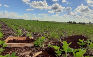 Como o produtor rural pode identificar os fatores que limitam a produtividade do solo