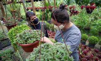 Nova chance para quer que fazer vestibular em cursos de agronegócios: prazo de inscrições aumentou