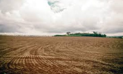 <h2><a href="https://nordesterural.com.br/ampliado-o-periodo-de-vazio-sanitario-para-o-plantio-de-soja/">Ampliado o per&iacute;odo de vazio sanit&aacute;rio para o plantio de soja</a></h2>A decis&atilde;o &eacute; do Minist&eacute;rio da Agricultura, Pecu&aacute;ria e Abastecimento (Mapa) que determinou atrav&eacute;s da Portaria n&ordm; 516 um novo per&iacute;odo de vazio sanit&aacute;rio para cultura da soja que dever&atilde;o