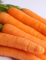 Orientações para cultivar cenoura com mais qualidade e produtividade