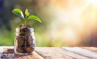 Um curso on-line para quem quiser aprender as técnicas de cultivo do cajueiro anão