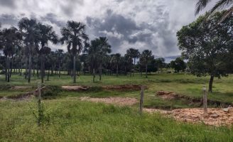 Oportunidade para investimento: duas fazendas vão a leilão em Mato Grosso do Sul