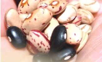 Feijão e arroz com baixa qualidade é proibido de ser comercializado no Distrito Federal