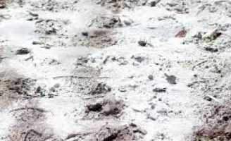 Como usar o gesso para corrigir a deficiência de cálcio nos solos da fazenda