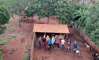 Incentivo para impulsionar a criação de ovinos e caprinos no Semiárido brasileiro