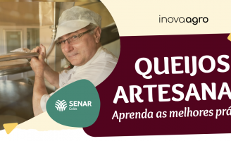 Faça um curso do Programa Agroindústria focado na produção de queijo