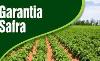 Dezesseis mil agricultores vão receber o dinheiro do Garantia-Safra este mês