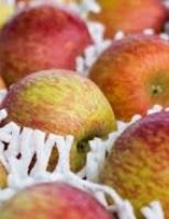 O Brasil registra presença entre os dez maiores produtores mundiais de maçãs