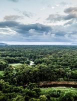 O Dia da Mata Atlântica ganha incentivo para eventos de turismo regenerativo da floresta