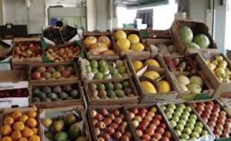 Veja quais são os alimentos que ajudam a fortalecer a imunidade