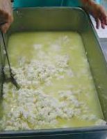 Higiene e cuidados para fabricação de queijo coalho