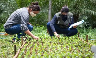 Últimos dias para inscrição no curso técnico de agronegócio do Senar
