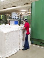 O algodão brasileiro ganha destaque de qualidade na produção mundial