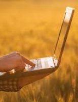 Estímulo para implantação de projetos de inovação agropecuária no Nordeste