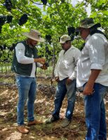 Mais de duas mil propriedades rurais de Pernambuco serão atendidas pelo programa Agronordeste