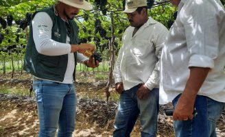 Vagas de emprego para profissionais do agronegócio