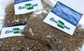 A pecuária de leite investe em fertilizante organomineral para reduzir os custos e melhorar a qualidade do meio ambiente