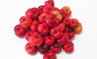 Um Projeto para impulsionar a cultura e exportação de frutas no estado do Piauí