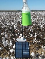 Cientistas finalizam a construção de um equipamento para monitoramento do bicudo do algodoeiro