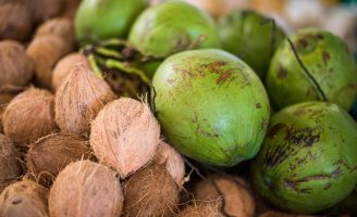 Novidades para o manejo da cultura do coco