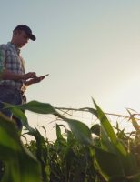 Vai começar a fiscalização das áreas beneficiadas pelo Proagro