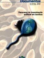 Produtores brasileiros comemoram o crescimento das exportações de genética bovina