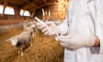 Técnicos e especialistas já podem opinar sobre o o registro e importação de produtos veterinários