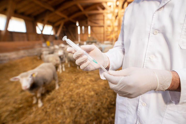 Técnicos e especialistas já podem opinar sobre o o registro e importação de produtos veterinários