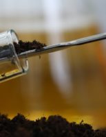 Bioinsumos são indicados para valorizar a sustentabilidade e melhorar a produtividade