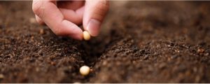 Os bioinsumos podem reduzir a dependencia brasileira do fertilizante estrageiro