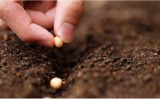 Os bioinsumos podem reduzir a dependencia brasileira do fertilizante estrageiro