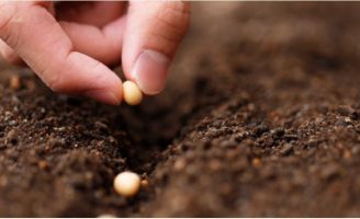 Os bioinsumos podem reduzir a dependencia brasileira do fertilizante estrageiro