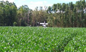 O uso correto da água na irrigação para os plantios de soja pode resultar em crescimento da produtividade