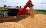Previsão de super safra de grãos para o Brasil este ano