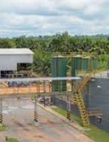 Primeira usina brasileira a gerar energia combinando biocombustível e biomassa