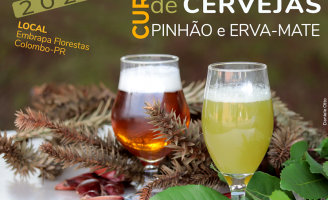 Atenção cervejeiros: um curso vai ensinar a fazer cerveja de pinhão e erva-mate