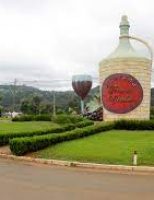 Os vinhos de Bituruna dão ao Paraná nova Indicação Geográfica