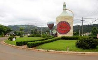 Os vinhos de Bituruna dão ao Paraná nova Indicação Geográfica