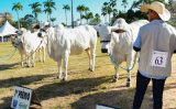 Uma Feira movimenta o agronegócio no Paraná